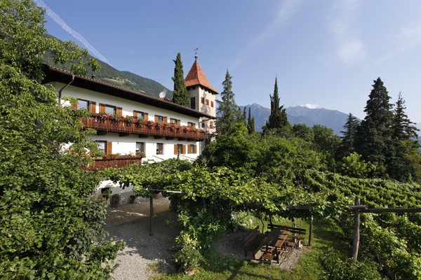 Foto Außenansicht B&B + Ferienwohnungen auf dem Bauernhof Biedermannhof