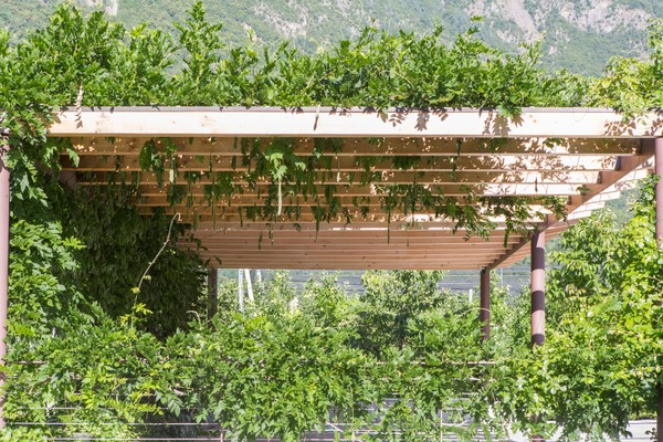 Photo of the garden Gargazzone / Gargazon (Lana)