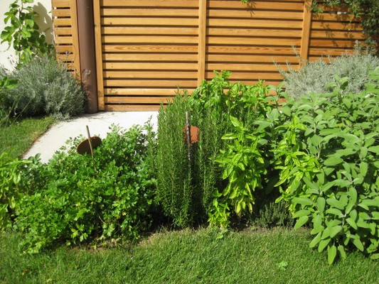 Photo of the garden Gargazzone / Gargazon (Lana)