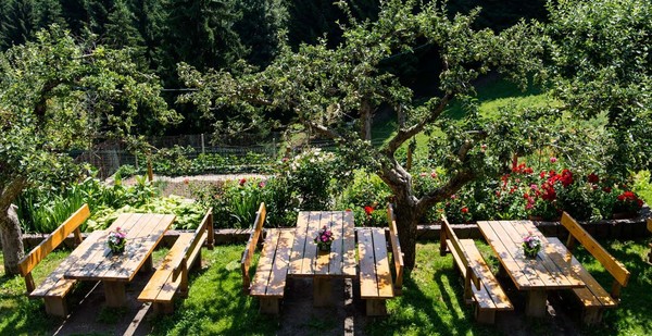 Foto vom Garten Sirmian