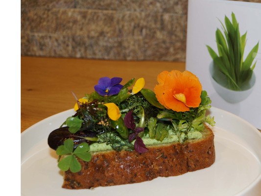 Rezepte und Gourmet-Gerichte Jäger