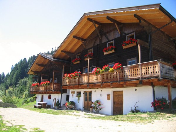 Sommer Präsentationsbild Ferienwohnungen auf dem Bauernhof Obereggerhof