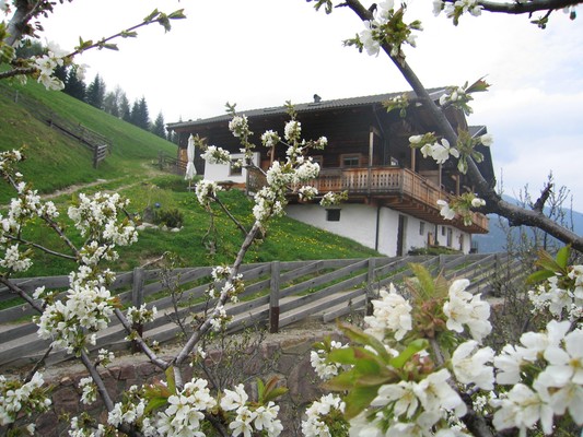 Foto Außenansicht Ferienwohnungen auf dem Bauernhof Obereggerhof