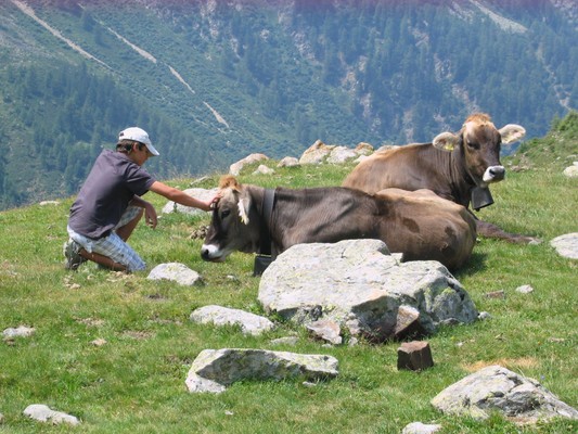 Tierfoto