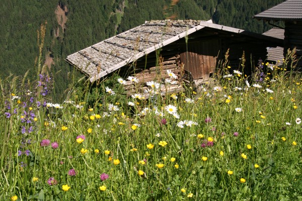 Bildergalerie