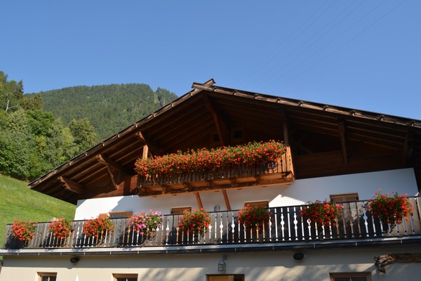Foto esterno Appartamenti in agriturismo Engethalerhof