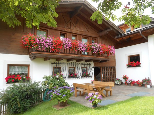 Photo of the garden Santa Valburga / St. Walburg (Val d'Ultimo / Ultental)