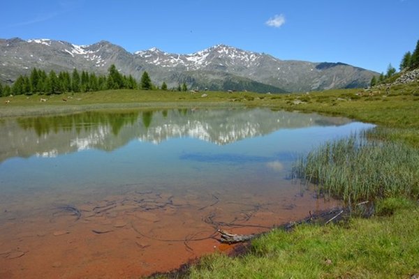Photo gallery summer
