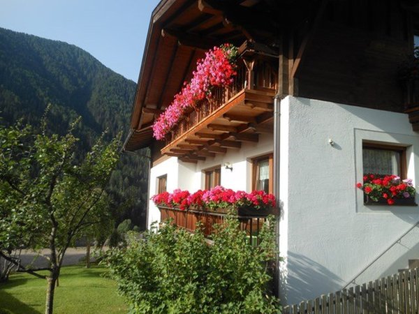 Photo exteriors in summer Blumenresidence Karnutsch