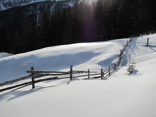 Photo gallery winter