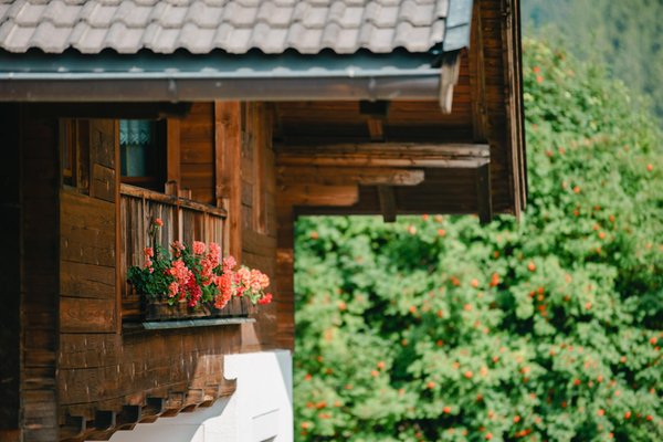 Photo exteriors in summer Blumenresidence Karnutsch
