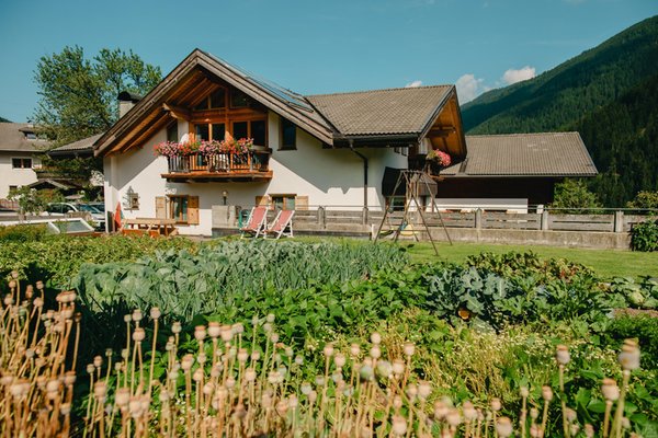 Photo of the garden Santa Valburga / St. Walburg (Val d'Ultimo / Ultental)