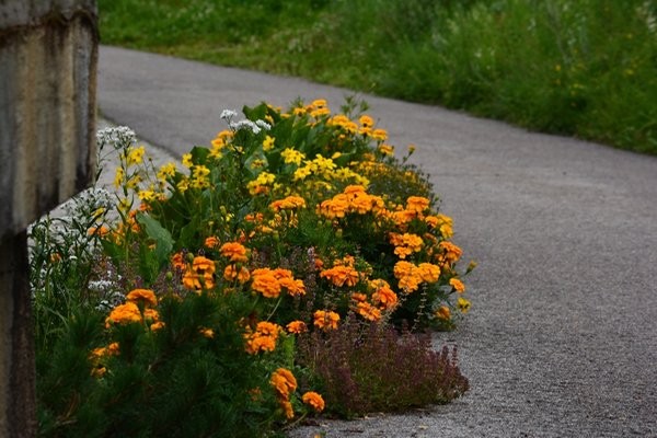 Foto del giardino Santa Valburga (Val d'Ultimo)