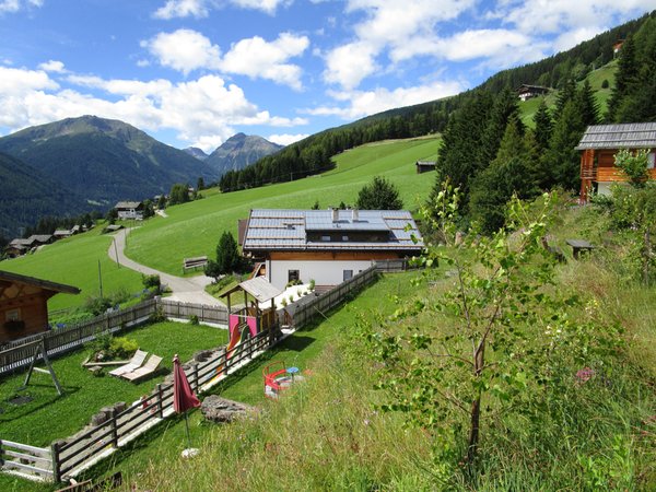 Sommer Präsentationsbild Ferienwohnungen auf dem Bauernhof Oberhof