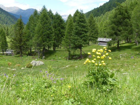 Bildergalerie