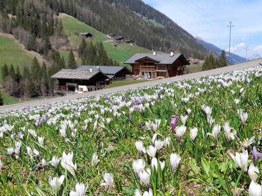 Foto Außenansicht Ferienwohnungen auf dem Bauernhof Oberhausgut