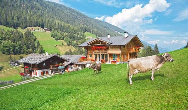 Foto Außenansicht Ferienwohnungen auf dem Bauernhof Oberhausgut