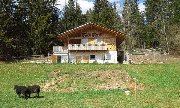 Photo of the garden San Felice / St. Felix (Alta Val di Non / Deutschnonsberg)