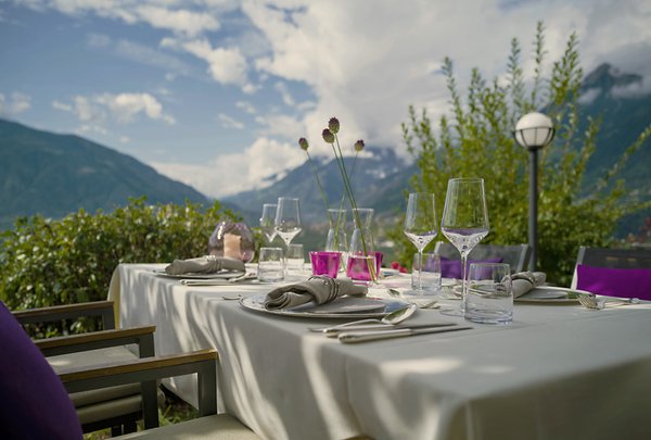 Photo of the garden Scena / Schenna