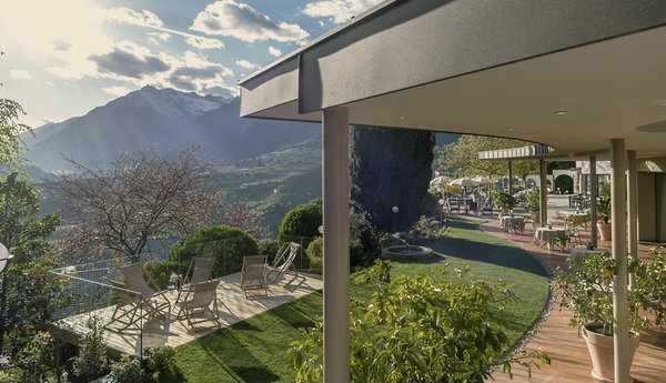 Photo of the garden Scena / Schenna
