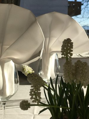 Il ristorante Scena Verdinserhof