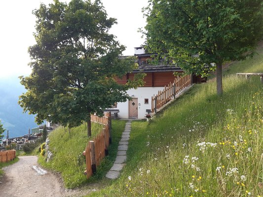 Foto esterno in estate Taser Alm
