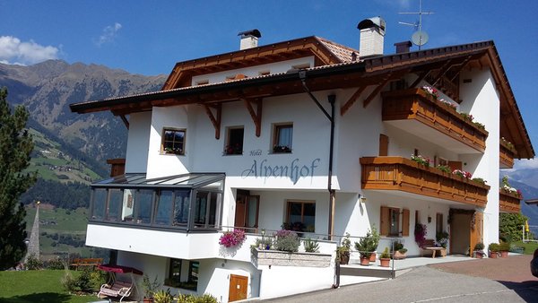 Foto Außenansicht im Sommer Alpenhof