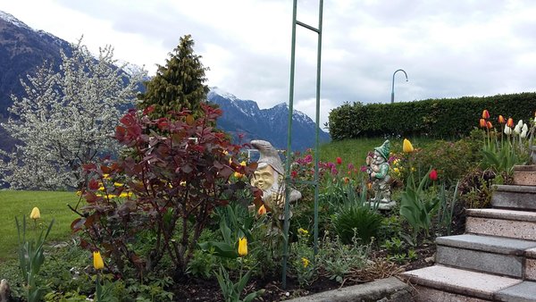 Foto vom Garten Schenna