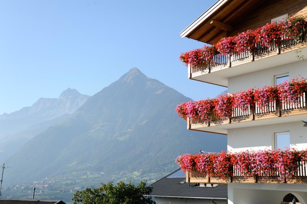 Photo exteriors Bed & Breakfast Höfler Fernblick