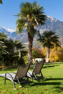 Photo of the garden Scena / Schenna