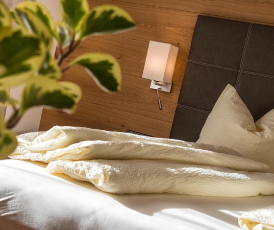 Photo of the room Residence Mittendorf