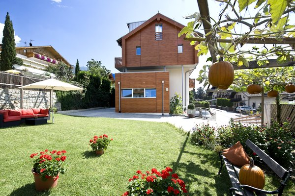 Photo of the garden Scena / Schenna