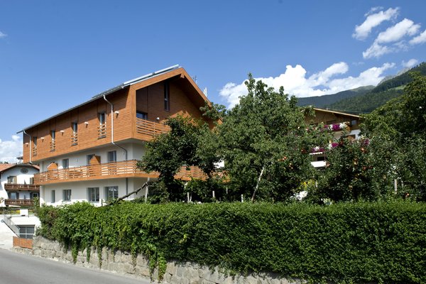Photo exteriors in summer Mittendorf