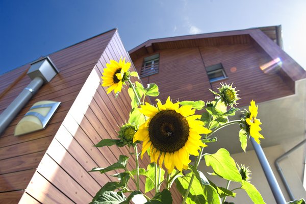 Photo exteriors in summer Mittendorf