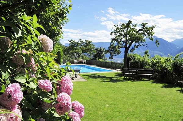 Photo of the garden Scena / Schenna