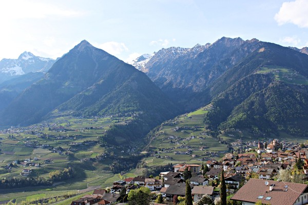 Panoramic view Scena / Schenna