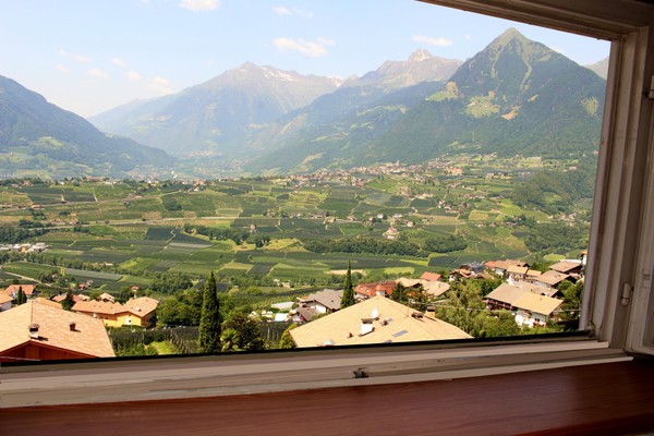 Panoramic view Scena / Schenna