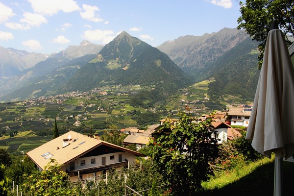 Panoramic view Scena / Schenna