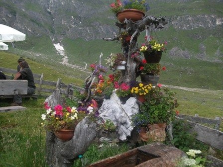Foto vom Garten Schenna
