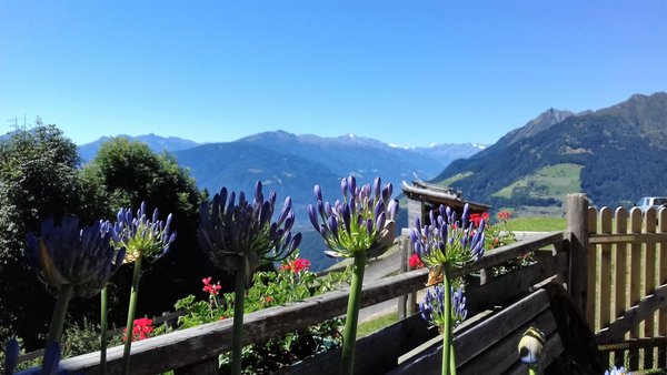 Foto del balcone Wiesbauer