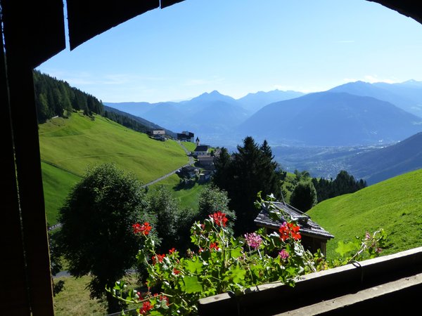 Vista dalla struttura