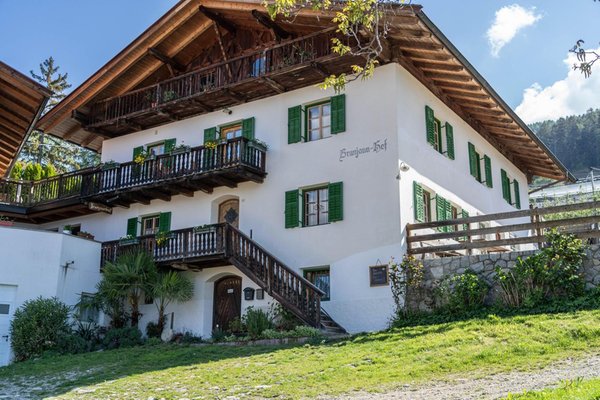 Foto estiva di presentazione Appartamenti in agriturismo Brunjaunhof
