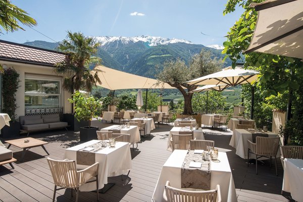 Photo of the terrace