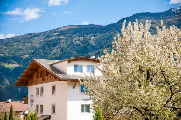 Foto esterno in estate Schmiedhof