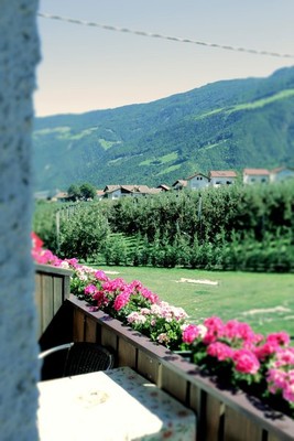 Photo of the terrace