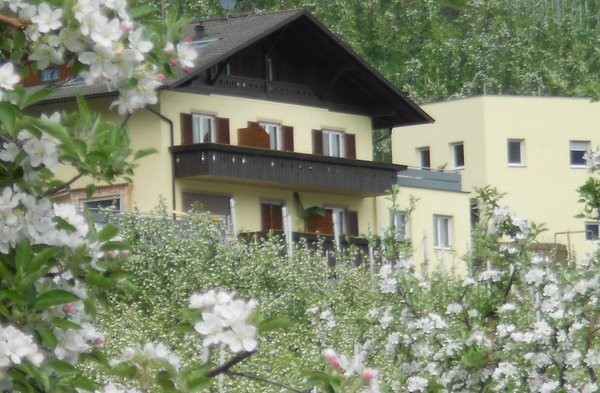 Photo exteriors Farmhouse apartments Oberbrunnhof