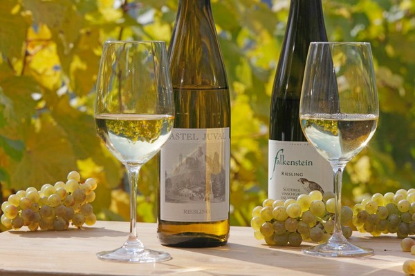 Ricette e proposte gourmet Haus Schweitzer