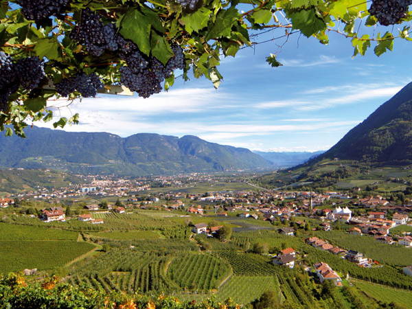 Panorama Lagundo