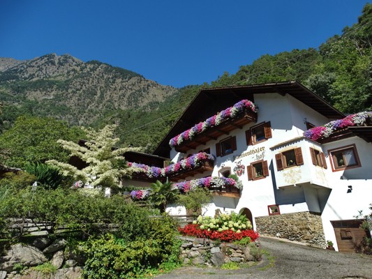 Foto Außenansicht Pension + Residence Blumenthalerhof