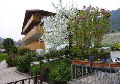 Foto Außenansicht Hotel + Residence Thalguter